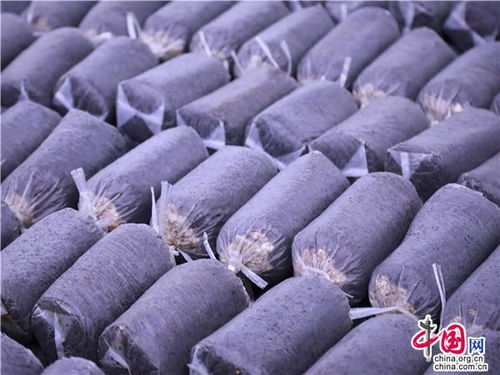 貴州獨(dú)山 東風(fēng)吹拂菌子香 菇舞人心銷售忙
