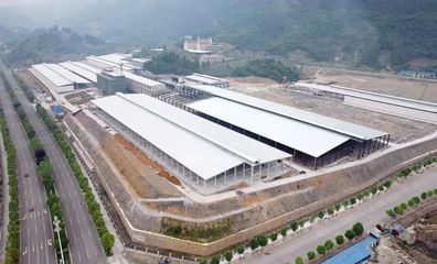 道真小蘑菇 科技賦能食用菌研發(fā)，鮮香直達(dá)二十余省市民餐桌